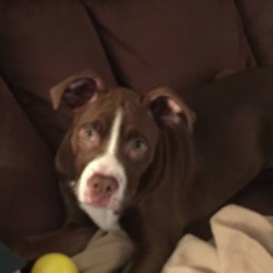 Meet your Posher, Wesley